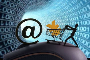 巨頭競相布局 互聯(lián)網保險發(fā)展提速